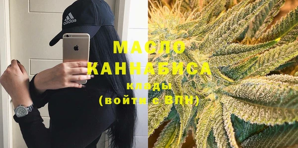 гидра Каменка