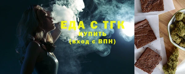 гидра Каменка