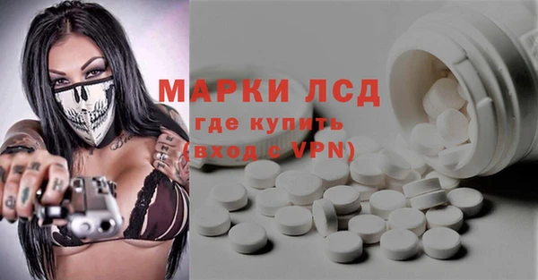 стаф Каменногорск
