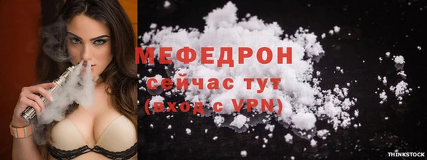 гидра Каменка