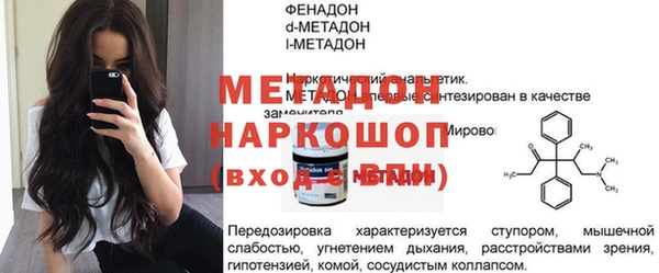 гидра Каменка
