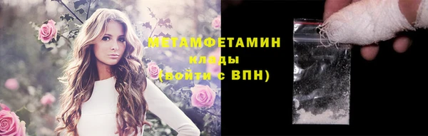 стаф Каменногорск