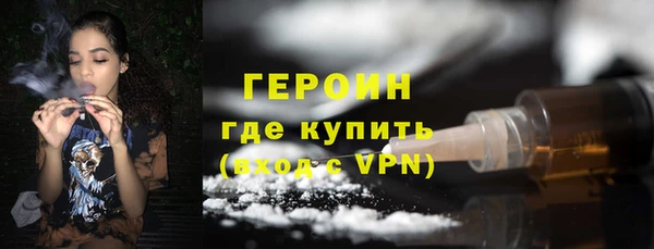 гидра Каменка