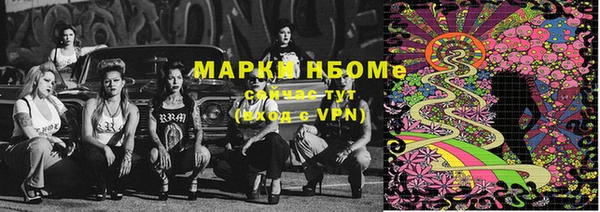 гидра Каменка