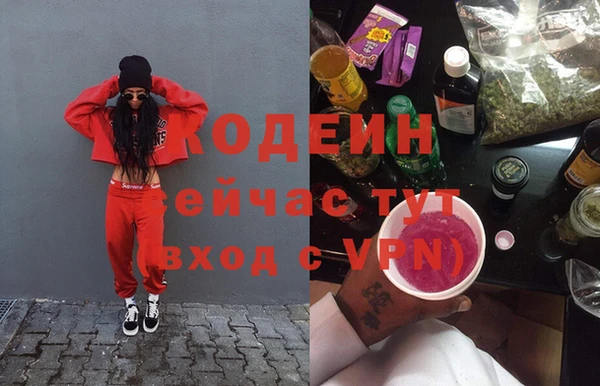 гидра Каменка