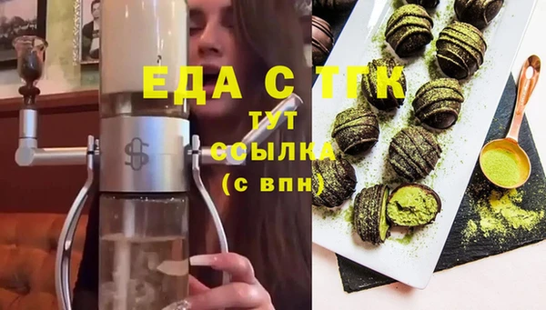 гидра Каменка