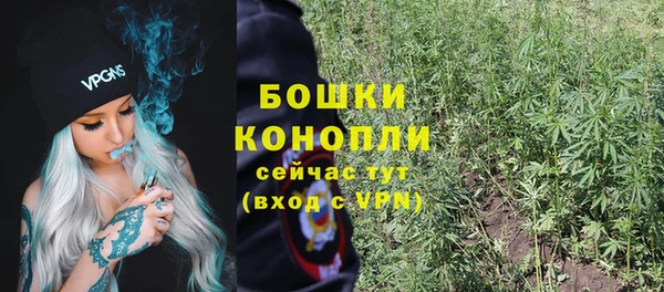 гидра Каменка