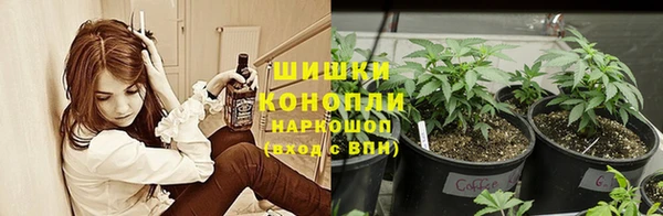 гидра Каменка