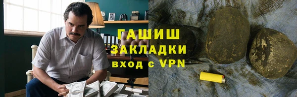 гидра Каменка