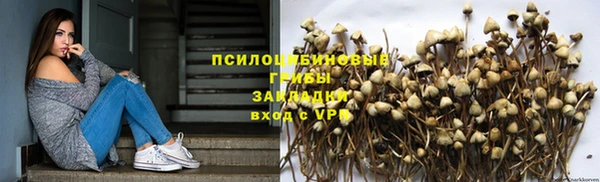 гидра Каменка