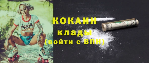 гидра Каменка